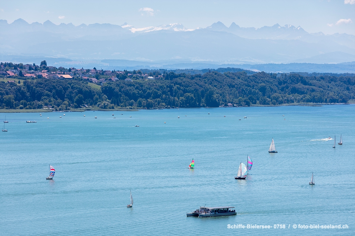 Bildname:  Schiffe-Bielersee- 0758 Schifffahrt auf dem BielerseeBildgroesse: 8665  x 5777 px /  73.4 x 48.9 cm (300dpi)Stichwoerter:  Bielersee,...